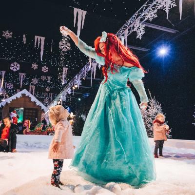 Snow princesses