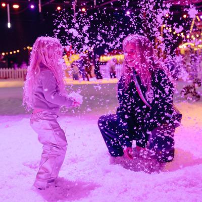 The snowgarden