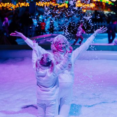 The snowgarden
