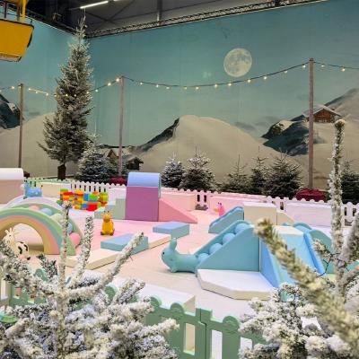 Rikki’s Winter Playground