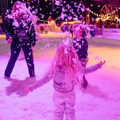 Het Sneeuwparadijs